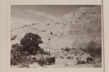 Base camp north of Lehi Canyon
