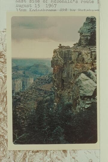 East side of McDonald's route into Chuar