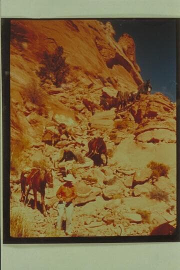 Down the trail into Navajo Canyon.  Marston leads the first horse; Desloge, the second.  Daly is coaxing the horse in the middle distance