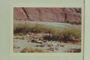 Old cabin site at delta of Basalt Creek, Mile 69.3