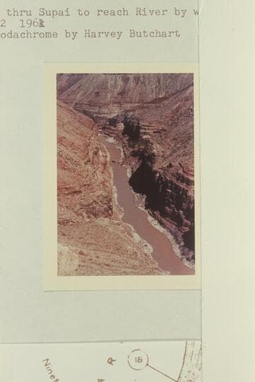 Ravine through Supai to reach river by way of Nineteen Mile Canyon