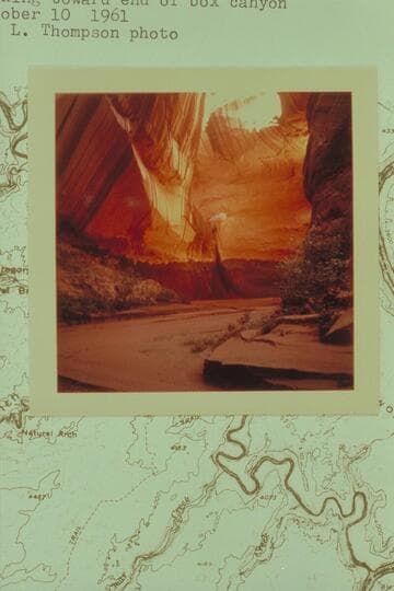 "Cathedral in the Desert", Clear Creek Canyon, Escalante River.  Looking toward end of box canyon