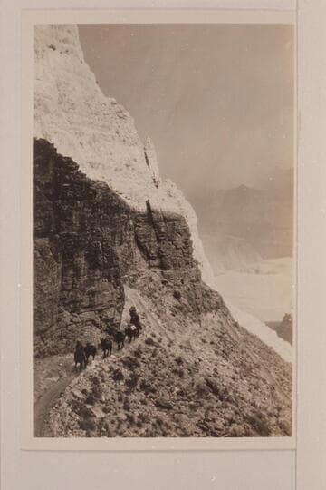 Pack string on Kaibab Trail