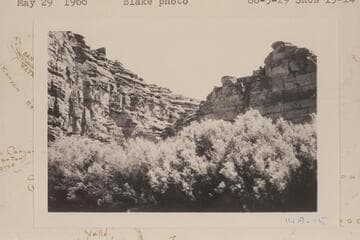 Stillwater Canyon in area of Mile 15.  Horse Canyon?