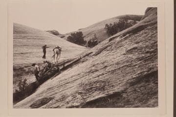 Leading stock to the west out of Nasja Creek