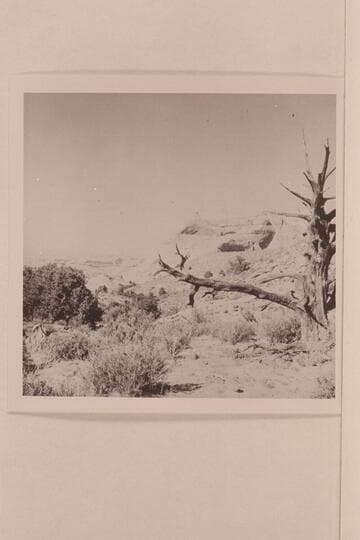Cha Butte.  VABM 5442.  From the trail to Rainbow Bridge near Bald Rock Creek