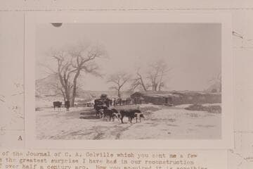 Spencer ox team pulling out of the Wetherill trading post at Oljeto in the winter of 1909-1910