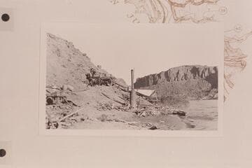 Overall photo of plant at Spencer's camp- Camp Ibex