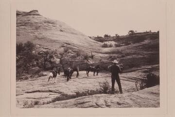Slickrock trail west of Nasja Creek