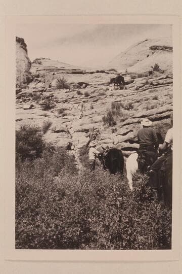 Trail out of Nasja Creek to west