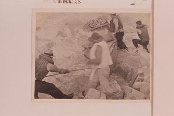 Lining by the Dusty Dozen