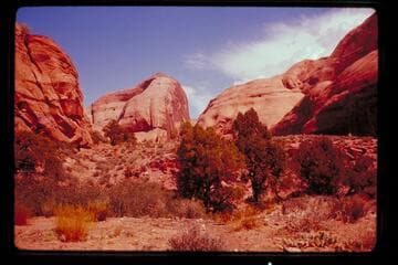 Near Cha Butte, Bald Rock Canyon
