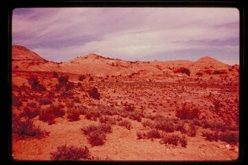 Northerly down Cha Canyon