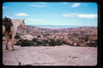 Fork of Stevens Creek; 50 mile Mountain  from Waterpocket Fold