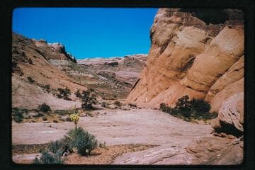 Up into canyon in Waterpocket Fold toward south end