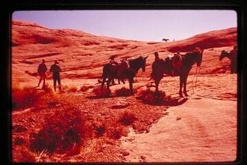 Arrival of stock north of Little Gray Mesa