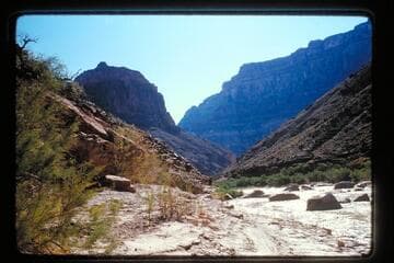 Up Little Colorado in flood
