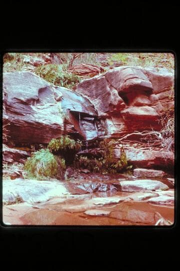Melody Spring, Mile 1, left bank San Juan River