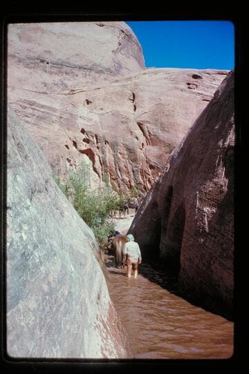 Sid Whiskers drives stock through pass west of Nasja Creek