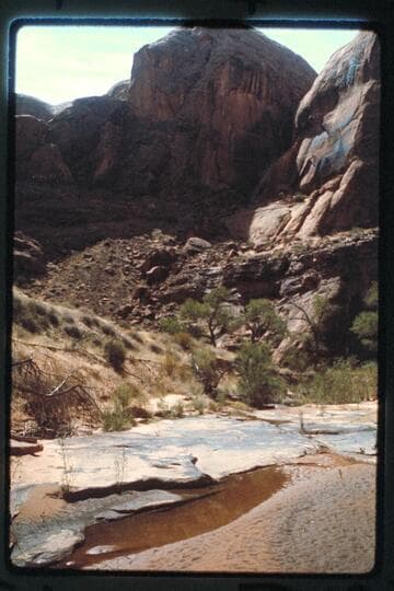 Junction of south fork - 73