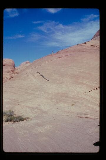 Up the trail north of 71.5