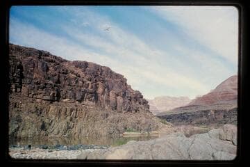 Up from camp, 217 Mile Rapid