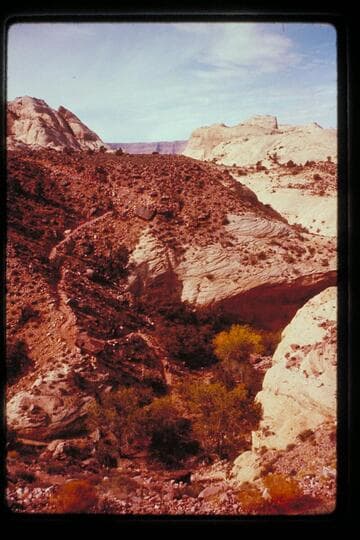 Rainbow Bridge Trail crossing branch of Black Water Creek