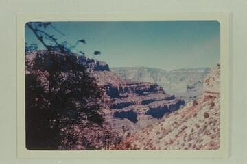 Below the Coconino west of Diana Notch