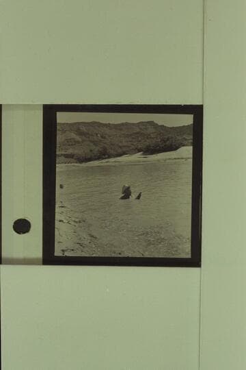 Swimming at Paria Riffle