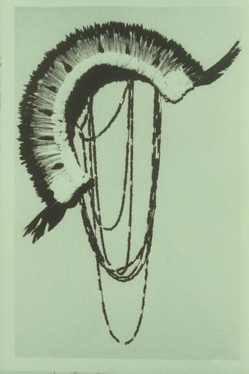 Headdress and necklace from Mantle Cave; University of Colorado Museum, Boulder, Colorado