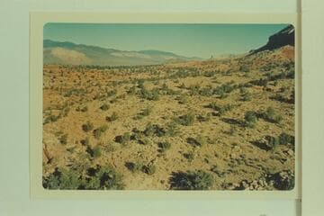 In Prospect Valley.  Toroweap Valley and Vulcans Throne in distance.  Mt. Trumbull upper center