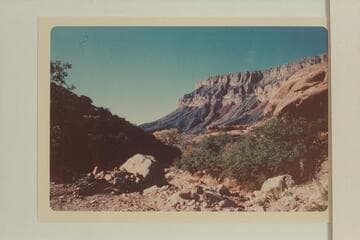 About 2 miles up Jumpup Canyon from Lower Jumpup Spring