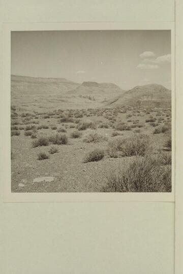 50 Mile Mountain and 60 Mile Point from platear at top of trail between the middle fork and southwest fork of 73.6.  Similar to 599 GNCN 73.51.8