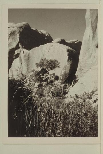 Anasazi Canyon--middle fork