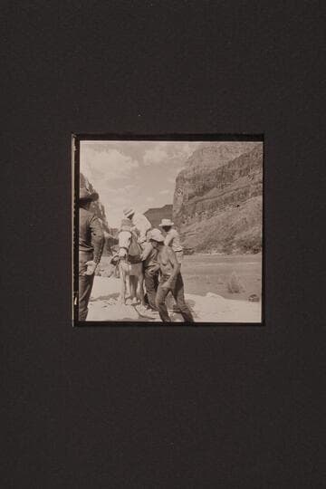 Members of the crew boost Ed Ralph onto the pack saddle at Whitmore Wash, Mile 188, Grand Canyon.  Rod Sanderson is moving left in foreground and John Riffey is at right