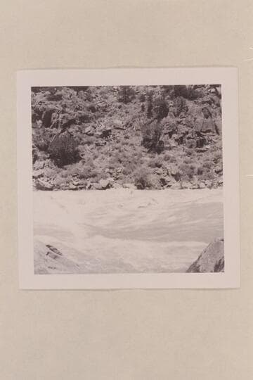 Head of Disaster Rapid