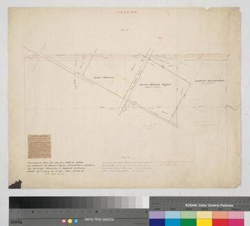 Los Angeles : Vigne parcels: sec. 8, T.2 S. R.13 W. S.B.M