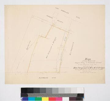 Map of Lot between Negro Alley & Alameda Street. belonging to Wm. Ferguson & Mrs. M.A. Briggs