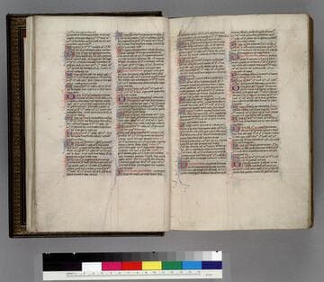 Bible : [manuscript]