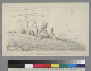 Granite rock split by frost