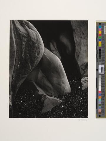 Eroded Rock, Point Lobos