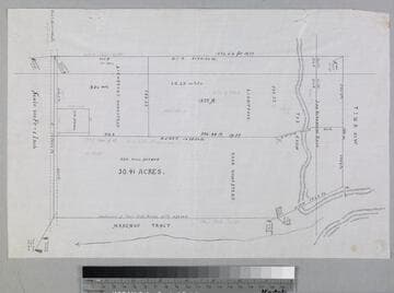 Raab, David : Raab & Lightfoot homesteads