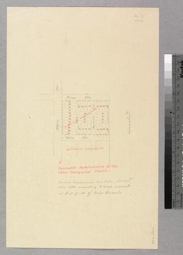 Los Angeles : draft of projected Consuelo subdivision