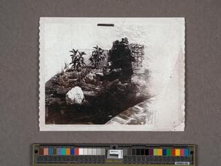Go to image 2.