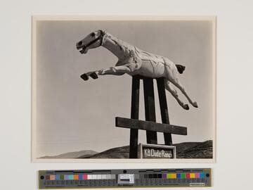 Horse, Riverside County