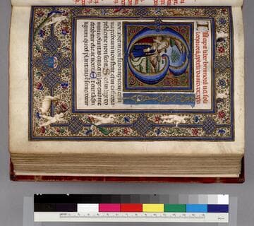 Psalter and prayers : [manuscript]