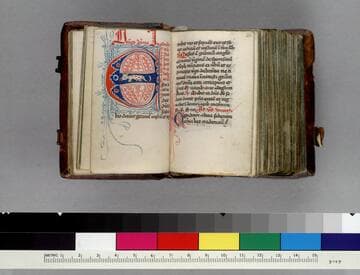 Diurnal for Dominican use : [manuscript]