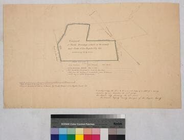 Vineyard of Marks Brundage