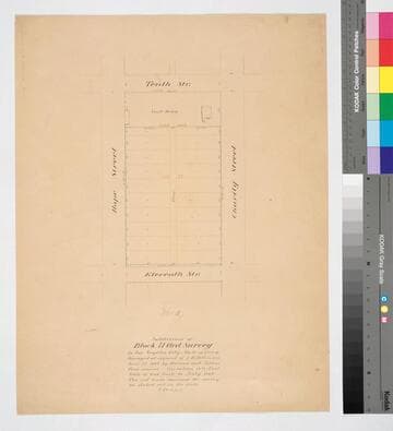 Subdivision of Block 71 Ord Survey