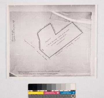 Vineyard of Marks Brundage